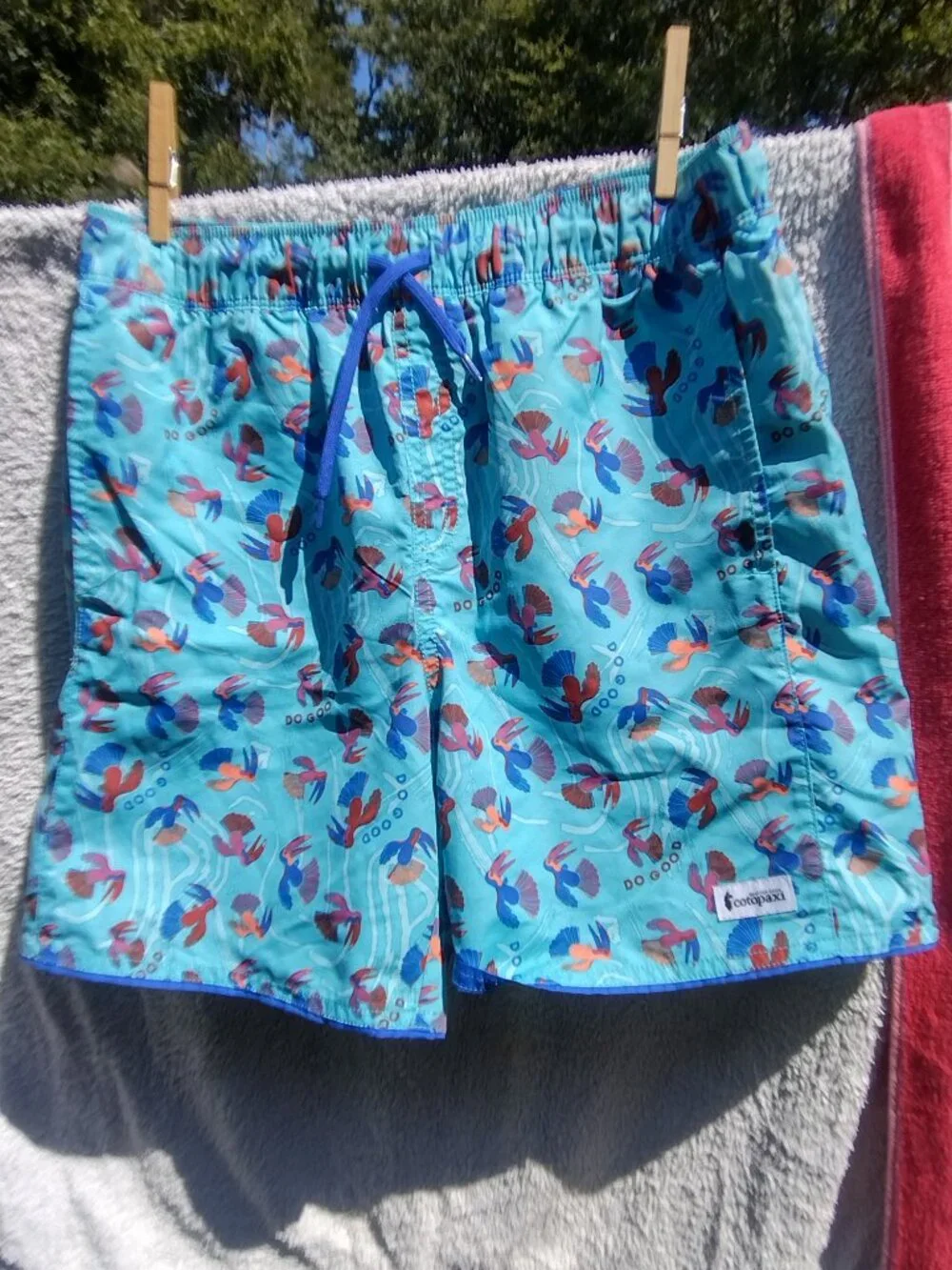 Cotopaxi Boy's Crocadilo Print Shorts Swim Trunks